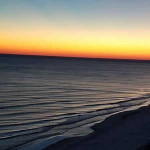 Meet your Posher, George